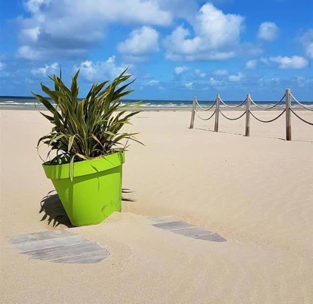 Lesparisnormands - Magnifique Vue Mer - Centre Et Plage Villers-sur-Mer Kültér fotó